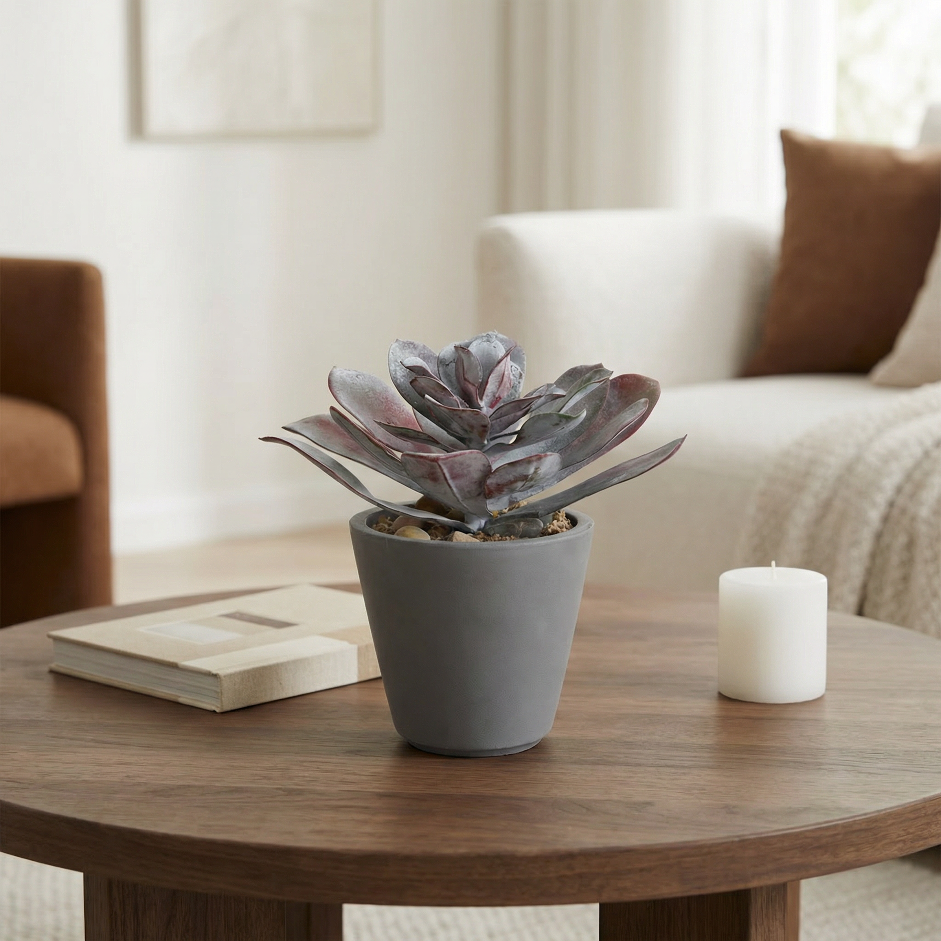 Cactus et Succulentes Artificiels Réalistes – Sia Deco