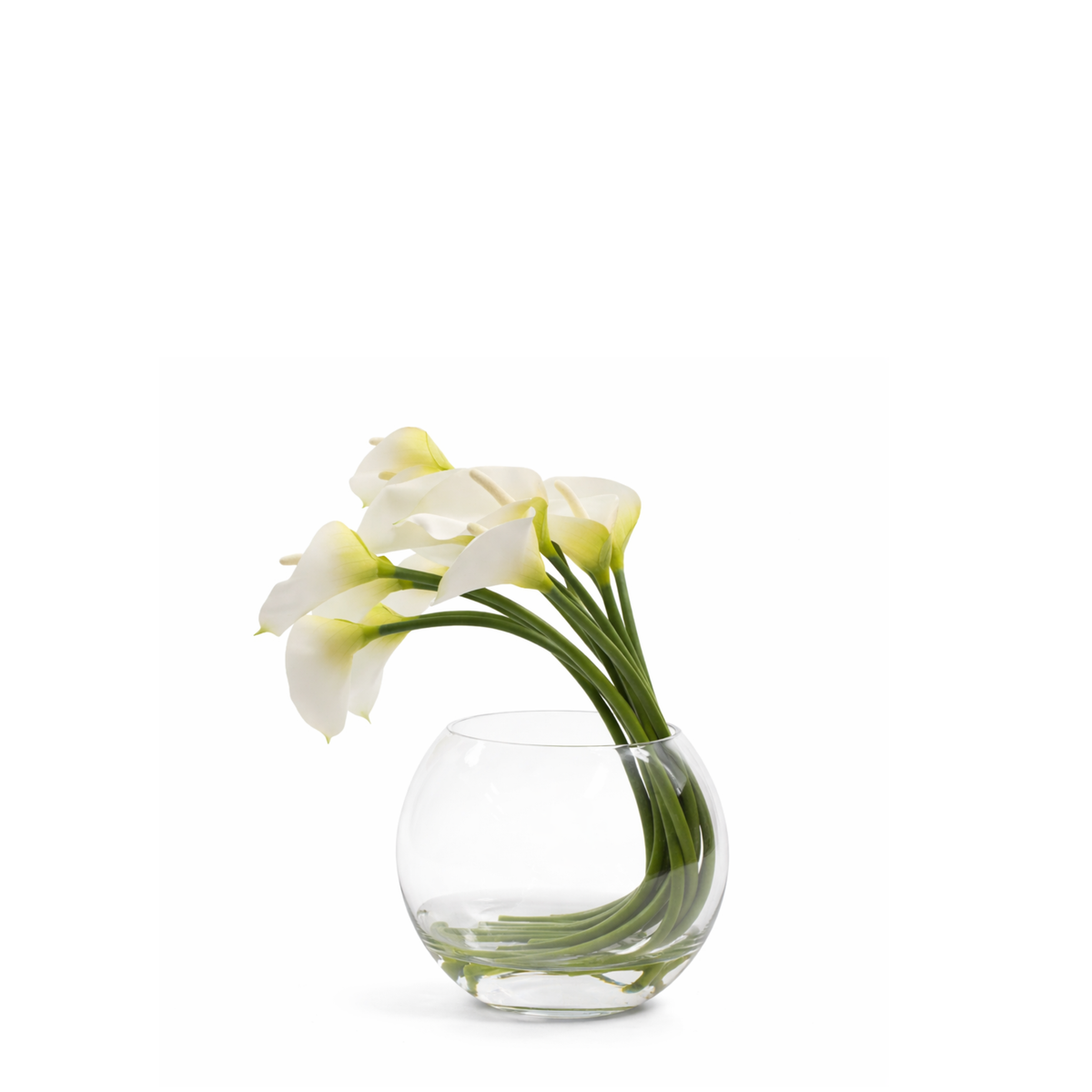 Composition d'Arums en Illusion d'Eau Eva