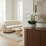 Composition d'Orchidée Séréna 45 cm