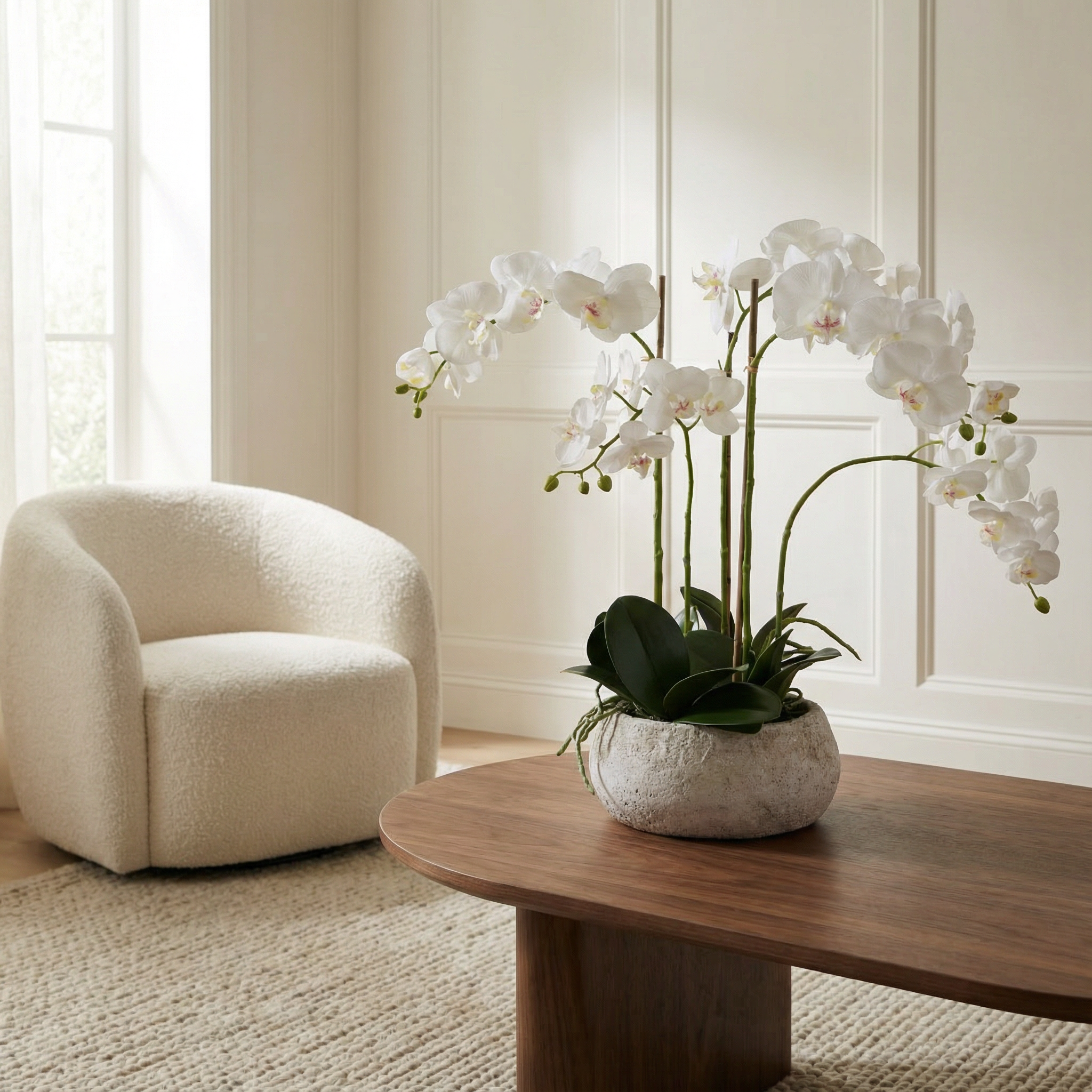 Composition d'Orchidée Séréna 60 cm