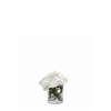 Orchid Composition in Conical Vase Elie