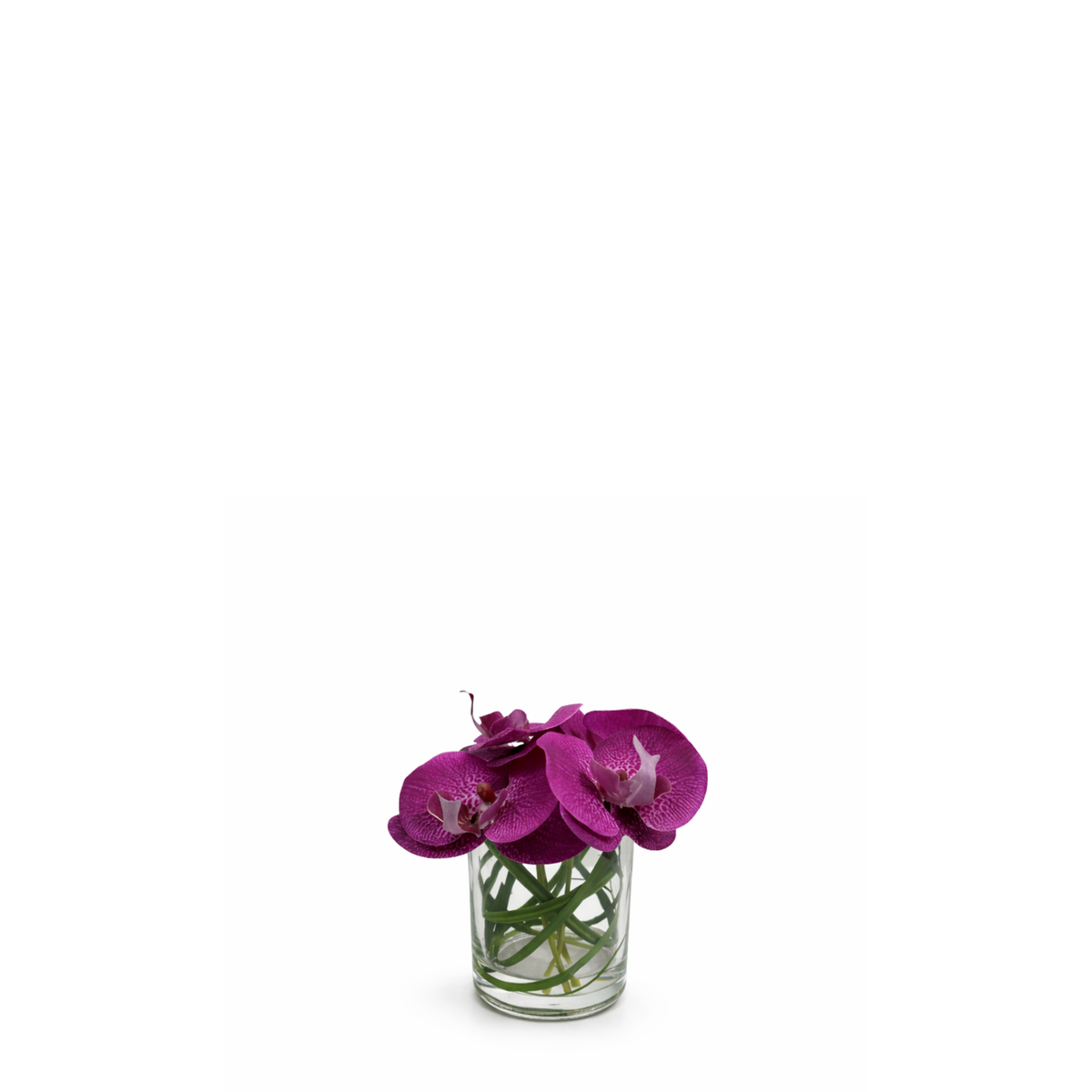 Composition d'Orchidée en vase conique Elie