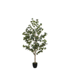 Eucalyptus en pot 150 cm