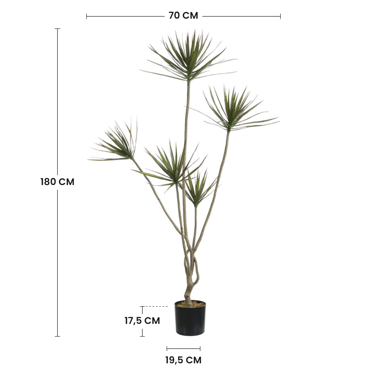 Dimensions de la cordyline artificielle 180 cm : hauteur 180 cm, largeur 70 cm, pot 17,5 cm de hauteur et 19,5 cm de diamètre