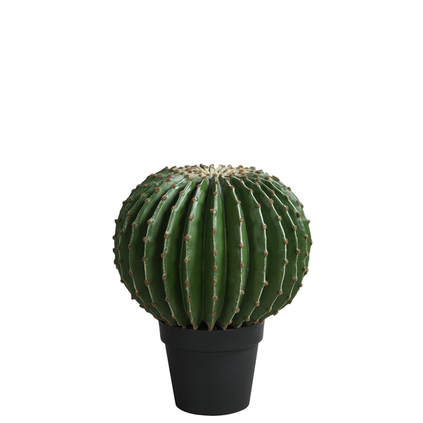 vaso per cactus grande Cactus rotondo in vaso 43 cm – Sia Deco