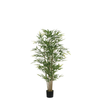 Bambou en pot 150 cm