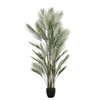 Palmier Kwai en pot 180 cm