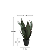 Dimensions de la sansevieria artificielle 49 cm : hauteur 49 cm, largeur 31 cm, pot 12,8 cm de hauteur et 15 cm de diamètre
