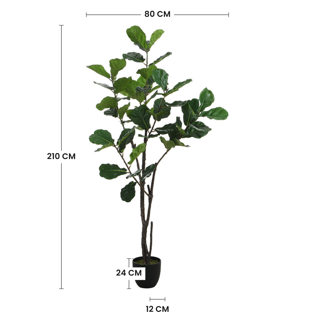 Dimensions du ficus lyrata artificiel 210 cm : hauteur 210 cm, largeur 80 cm, pot 24 cm de hauteur et 12 cm de diamètre