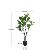 Dimensions du ficus lyrata artificiel 150 cm : hauteur 150 cm, largeur 60 cm, pot 20 cm de hauteur et 17 cm de diamètre