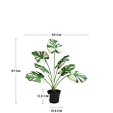 Dimensions du monstera artificiel 57 cm : hauteur 57 cm, largeur 50 cm, pot 12,8 cm de hauteur et 10,6 cm de diamètre
