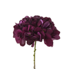 Tige d’Hortensia 63 cm