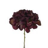 Tige d’Hortensia 63 cm