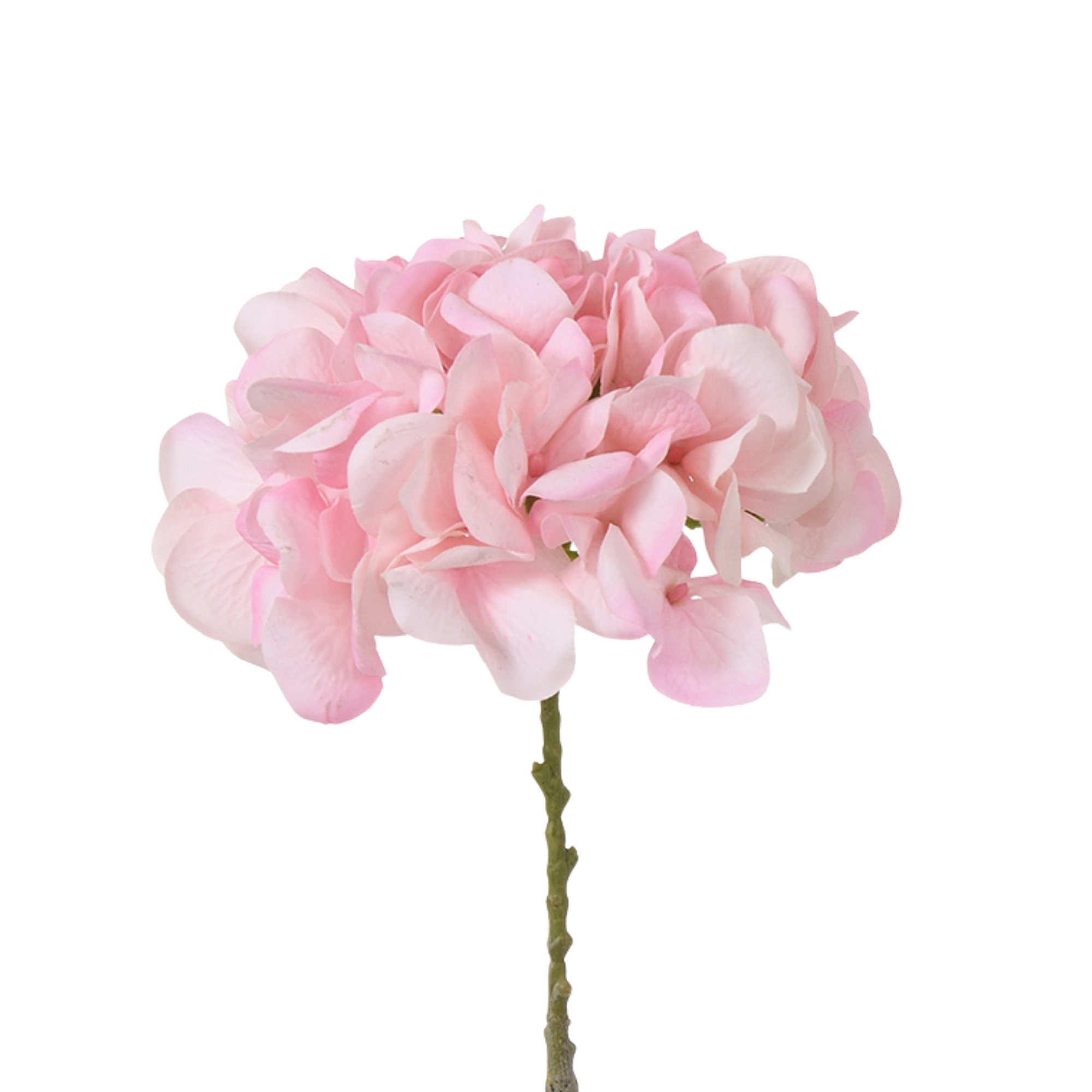 Tige d’Hortensia 63 cm