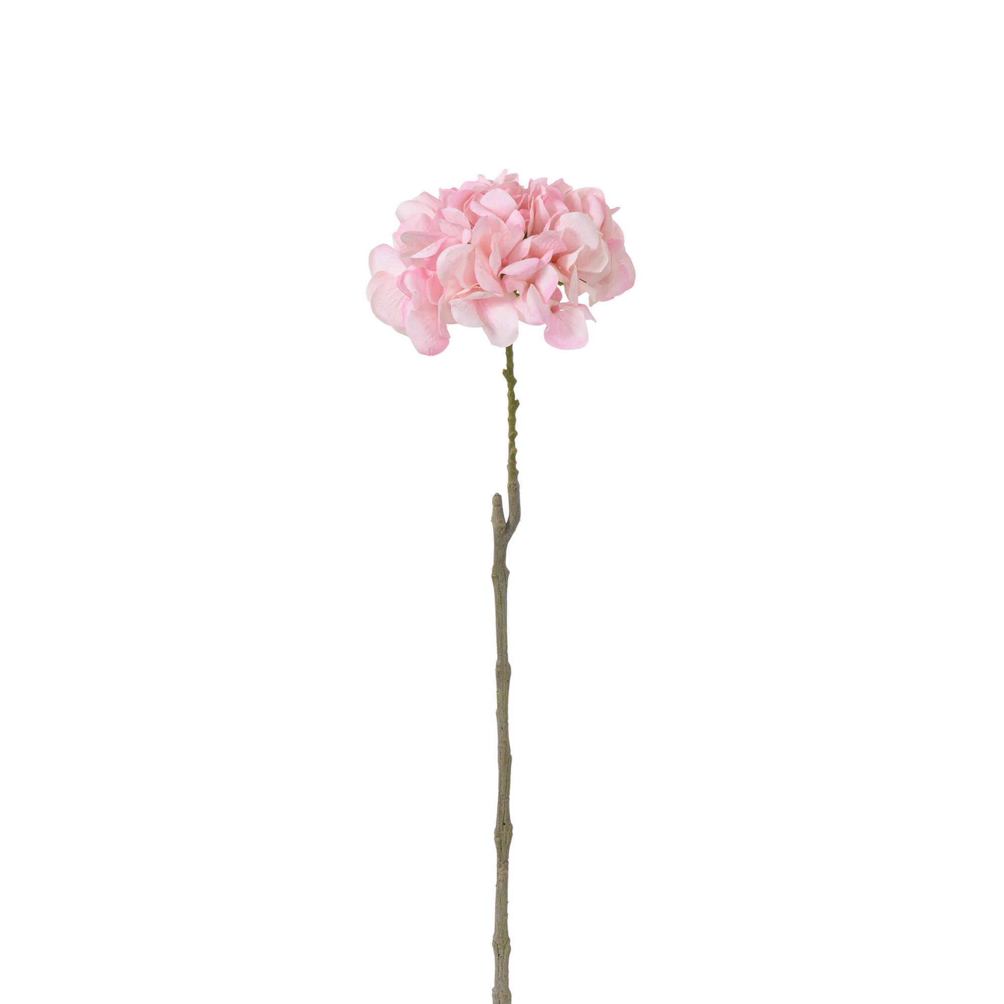 Tige d’Hortensia 63 cm