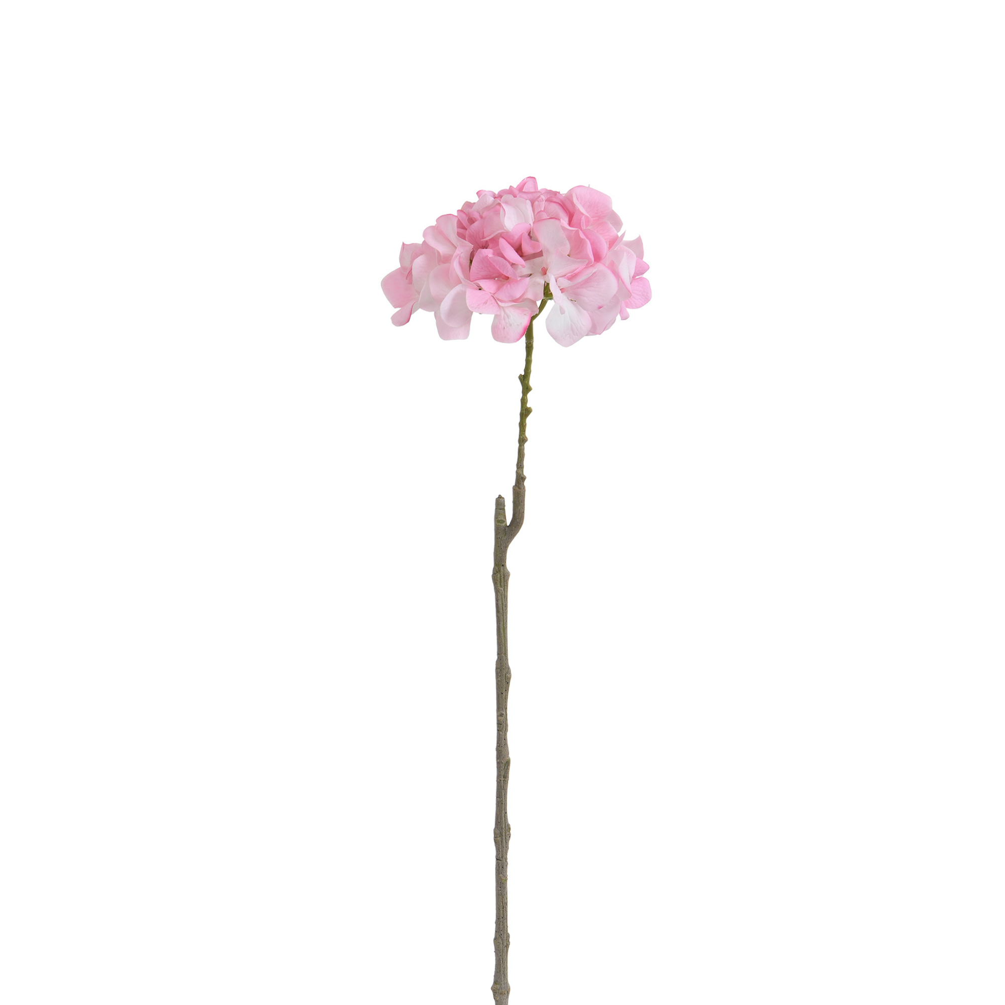 Tige d’Hortensia 63 cm