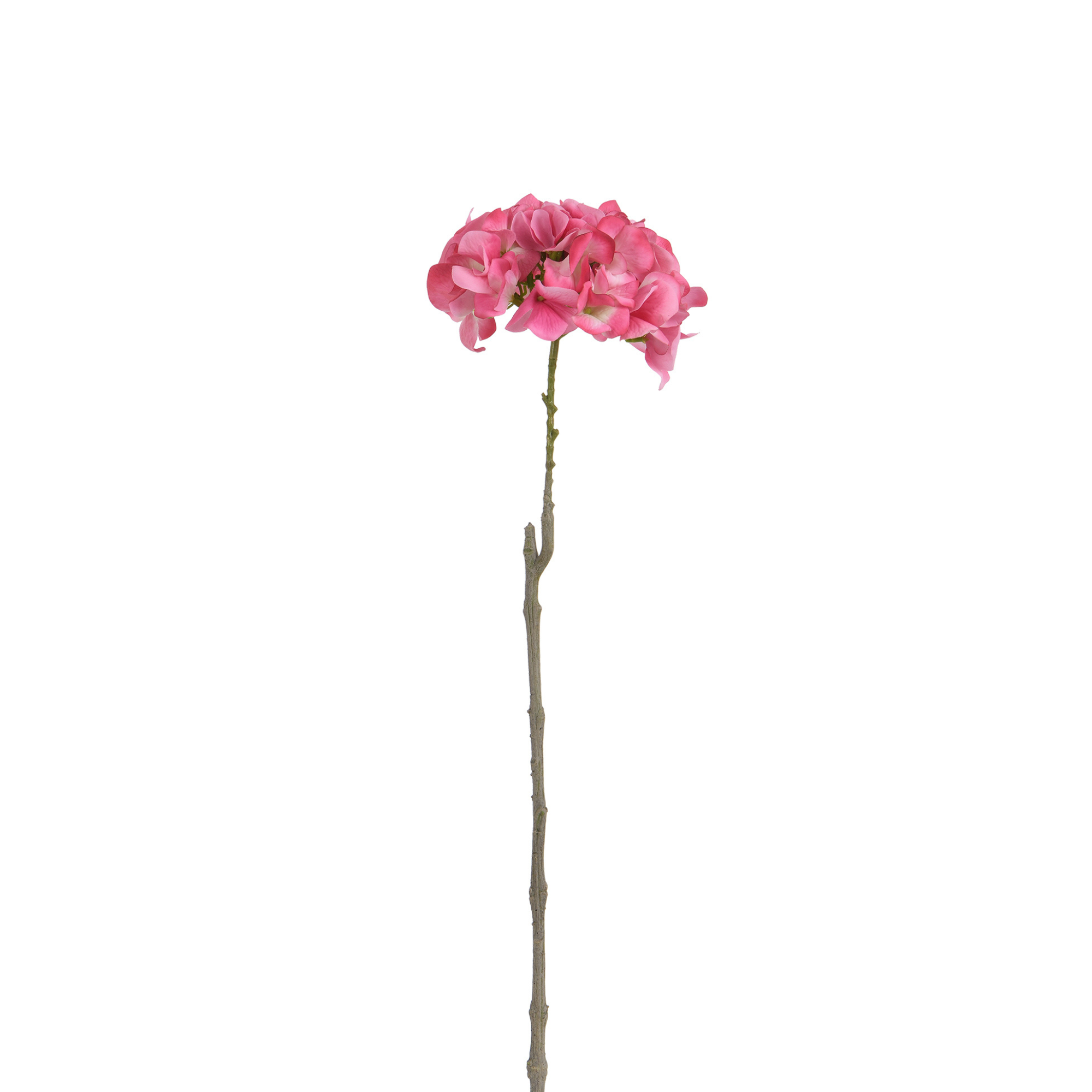 Tige d’Hortensia 63 cm