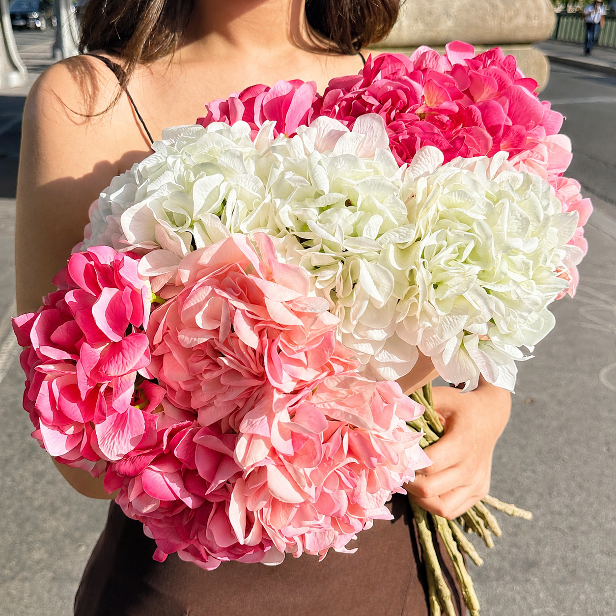 Tige d’Hortensia 63 cm