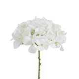 Tige d’Hortensia 63 cm