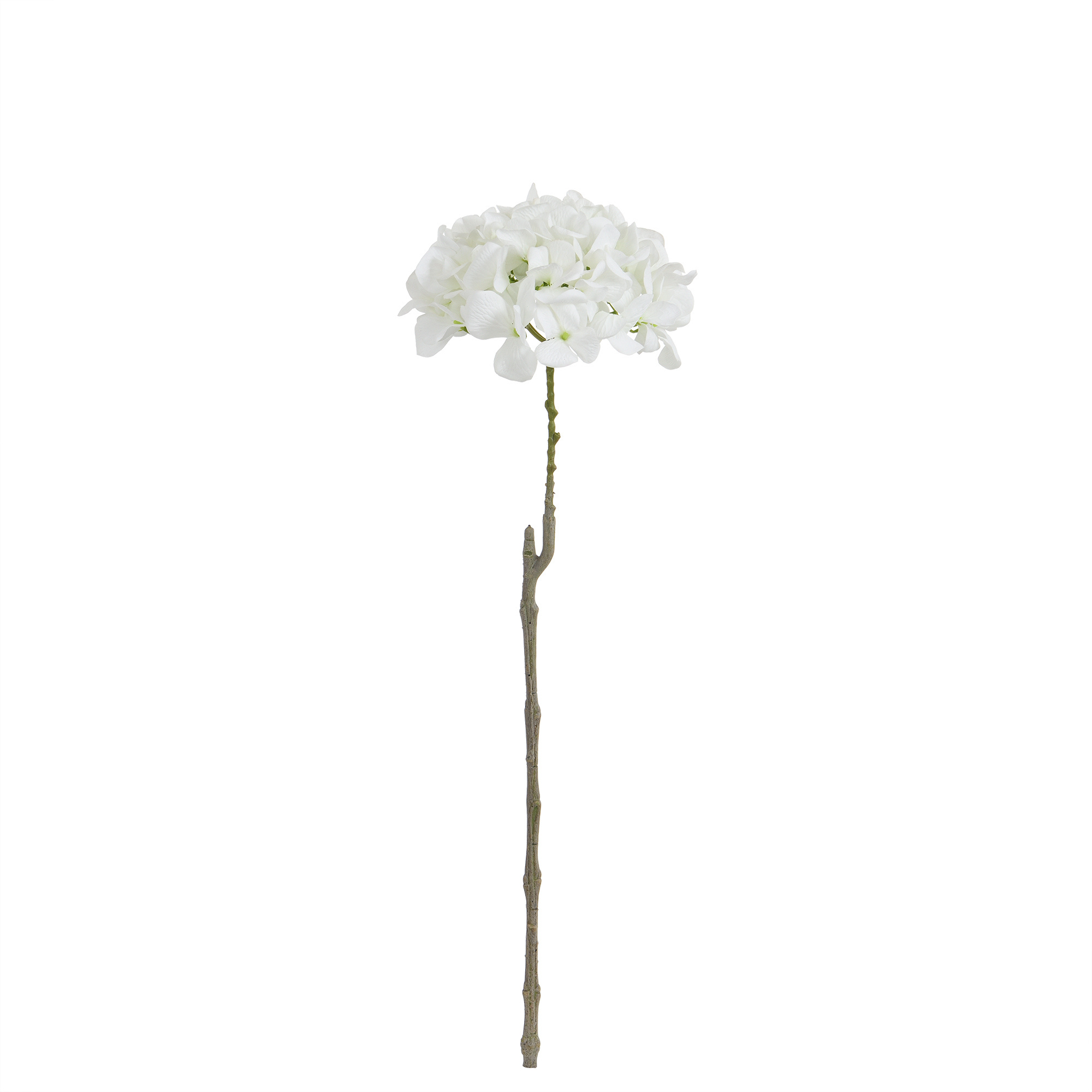Tige d’Hortensia 63 cm