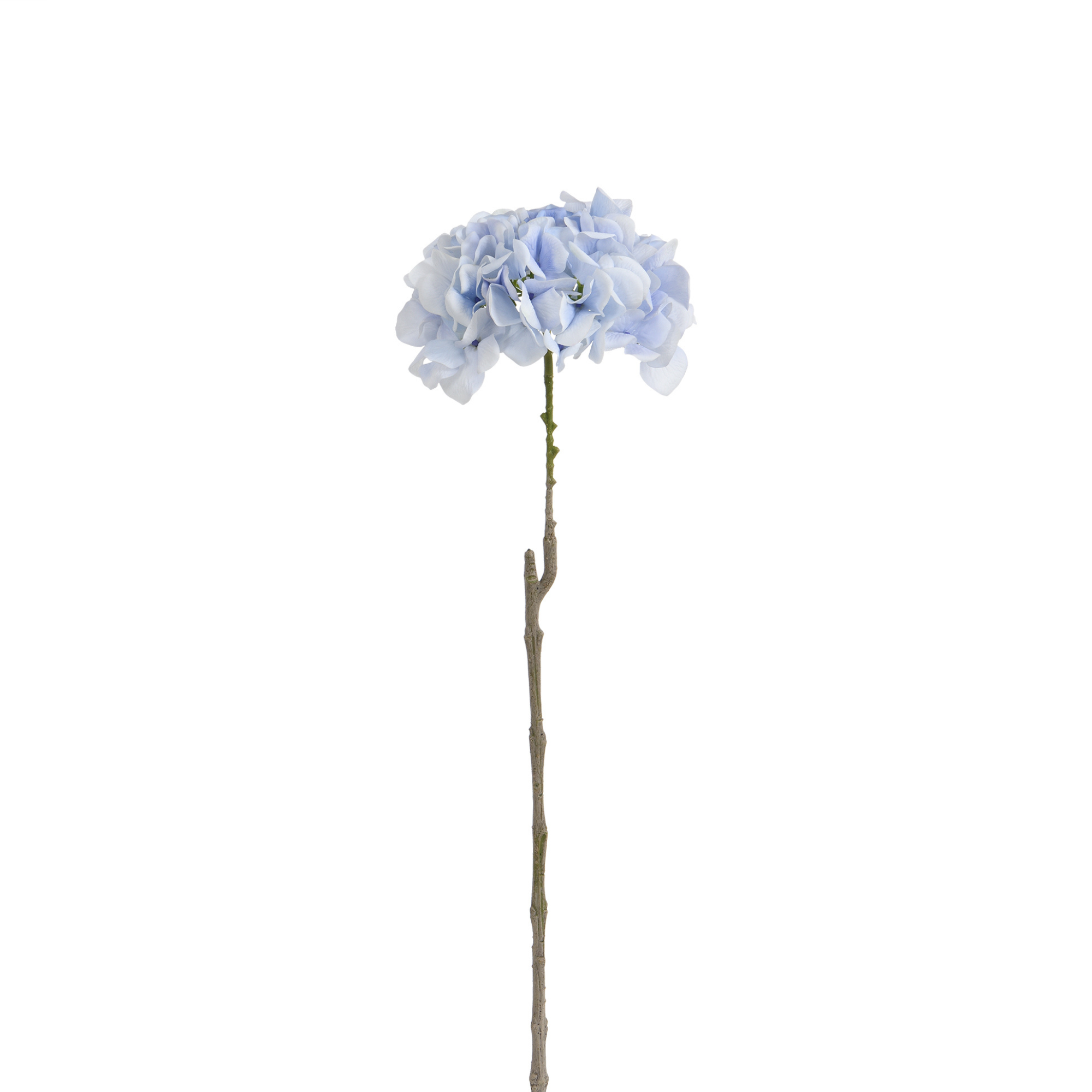 Tige d’Hortensia 63 cm