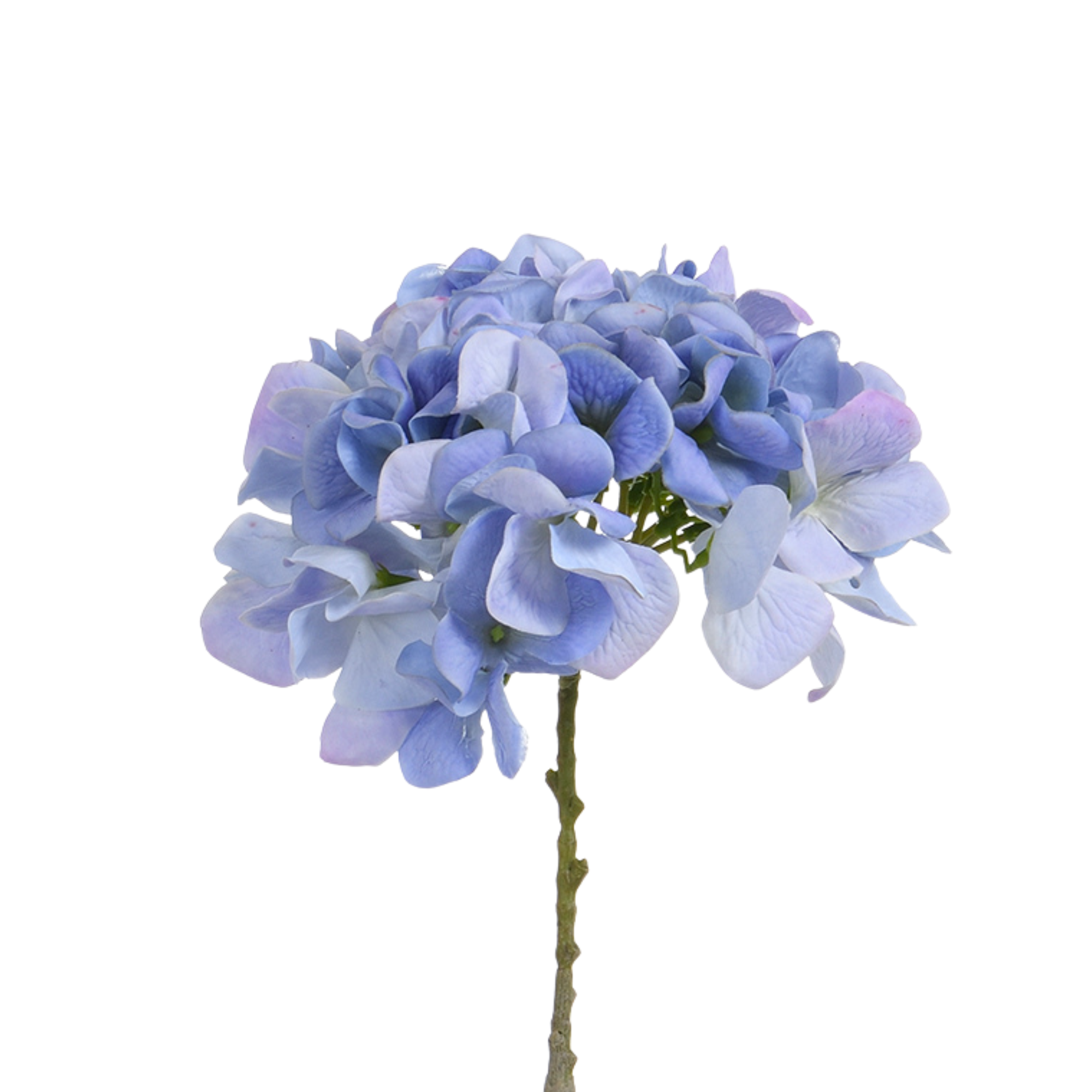 Tige d’Hortensia 63 cm