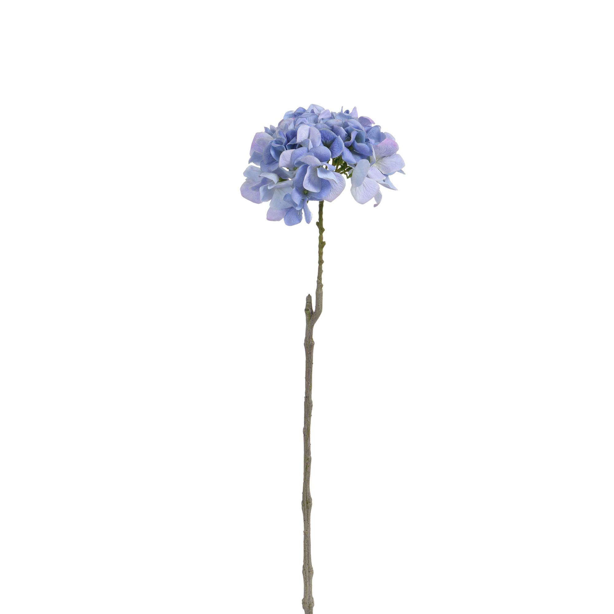 Tige d’Hortensia 63 cm