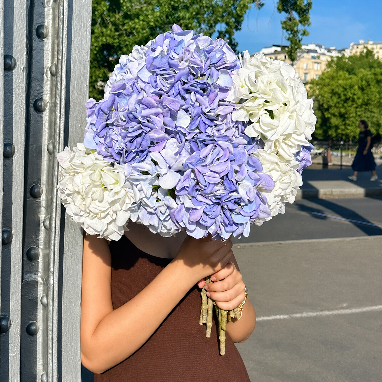 Tige d’Hortensia 63 cm