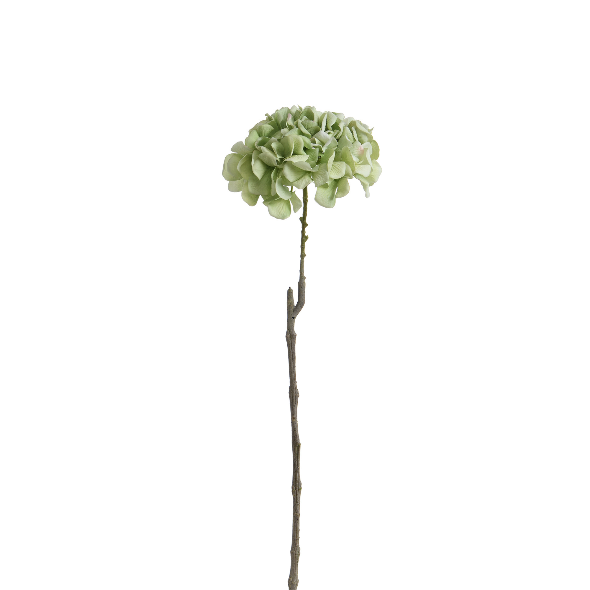 Tige d’Hortensia 63 cm
