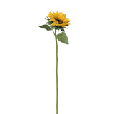 Tige de Tournesol 70 cm