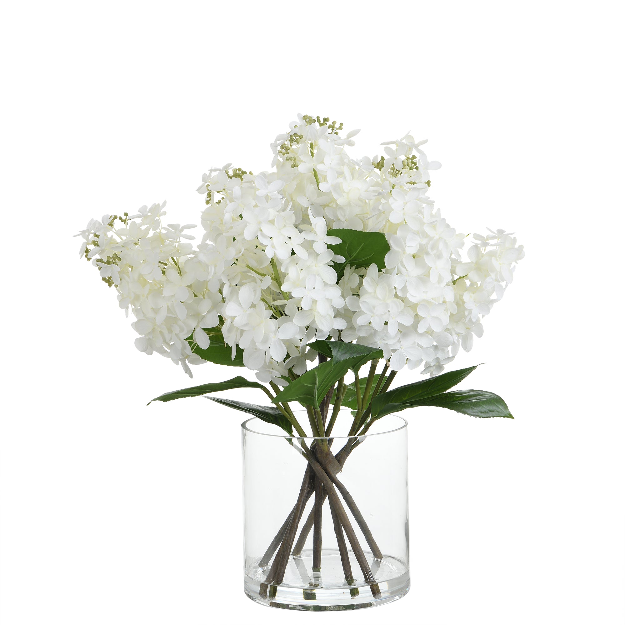 Composition d'Hydrangeas pointus en vase 55 cm