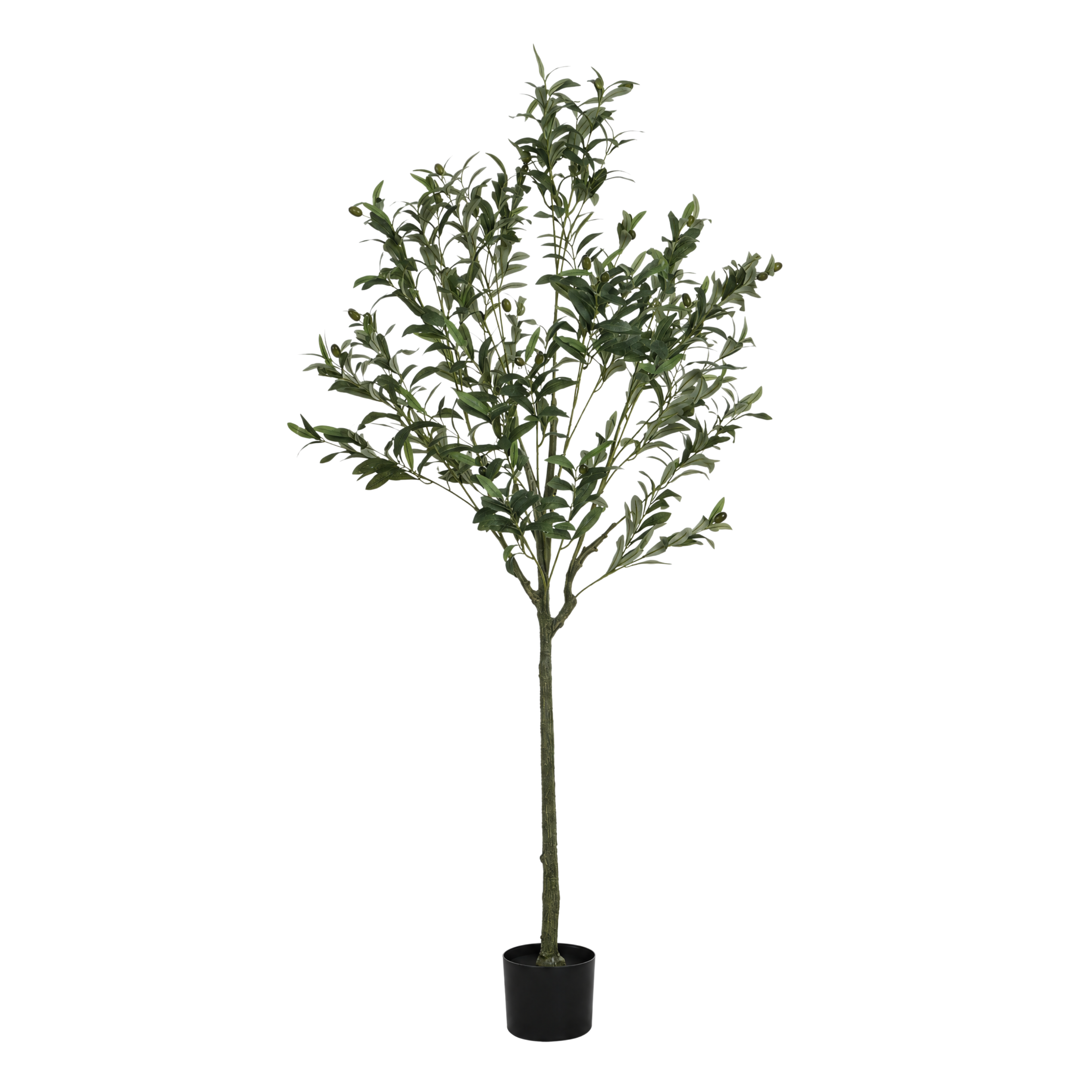 Olivier artificiel de 150 cm en pot noir, feuillage fin vert argenté sur tronc naturel, arbre artificiel Sia Deco sur fond blanc