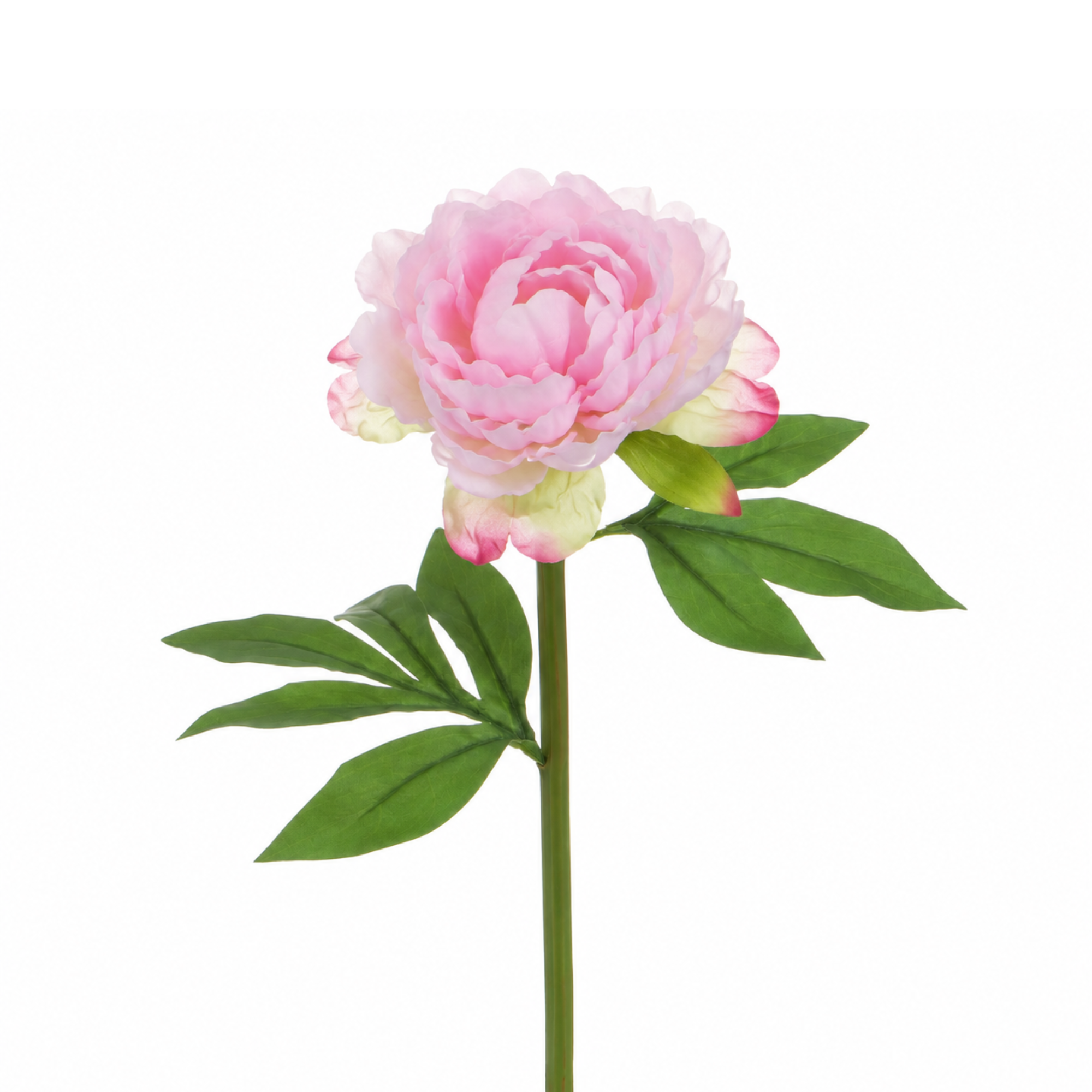 Tige de Pivoine 40 cm rose, fleur artificielle, packshot fond blanc, Sia Deco