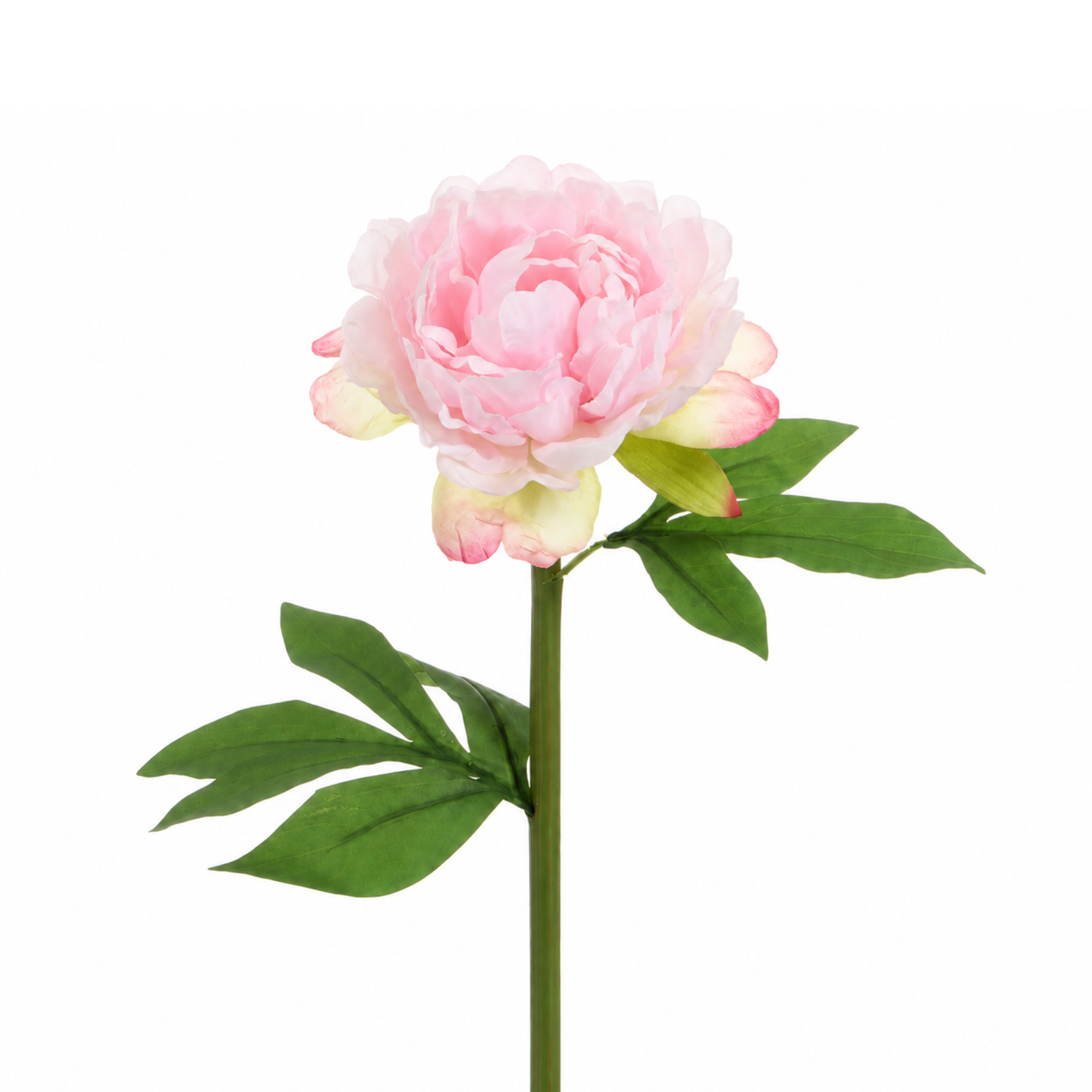 Tige de Pivoine 40 cm rose pâle, fleur artificielle, packshot fond blanc, Sia Deco
