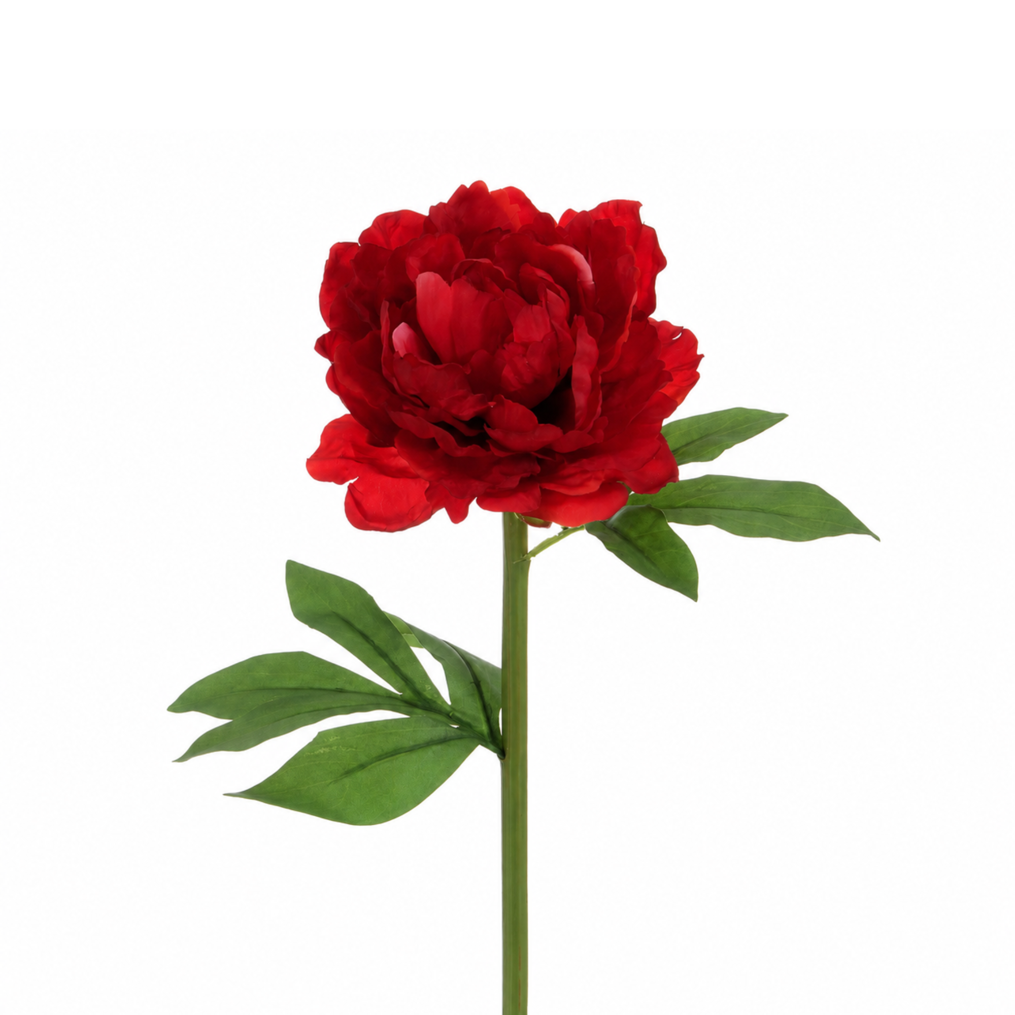 Tige de Pivoine 40 cm rouge, fleur artificielle, packshot fond blanc, Sia Deco
