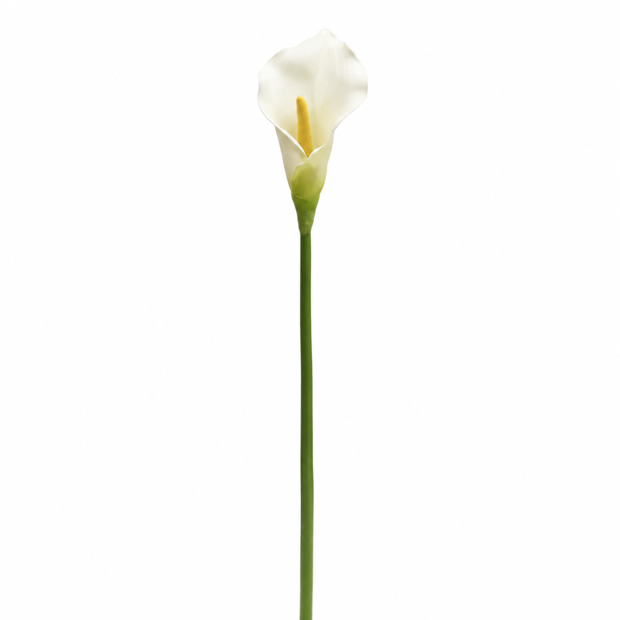 Tige d'Arum 75 cm blanc, fleur artificielle, vue complémentaire, Sia Deco