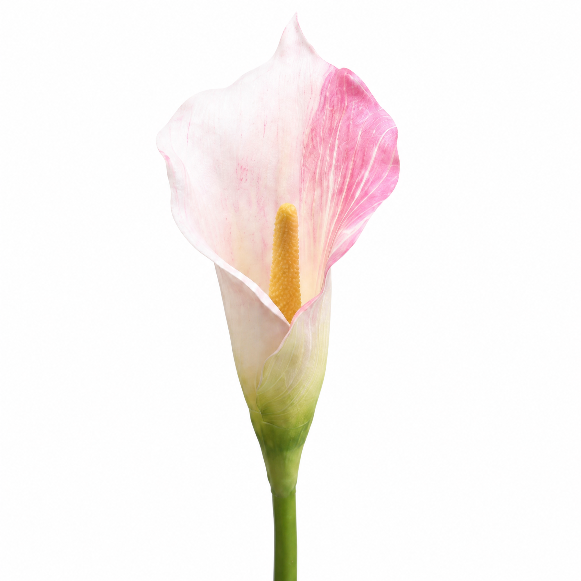 Tige d'Arum 75 cm rose, fleur artificielle, packshot fond blanc, Sia Deco