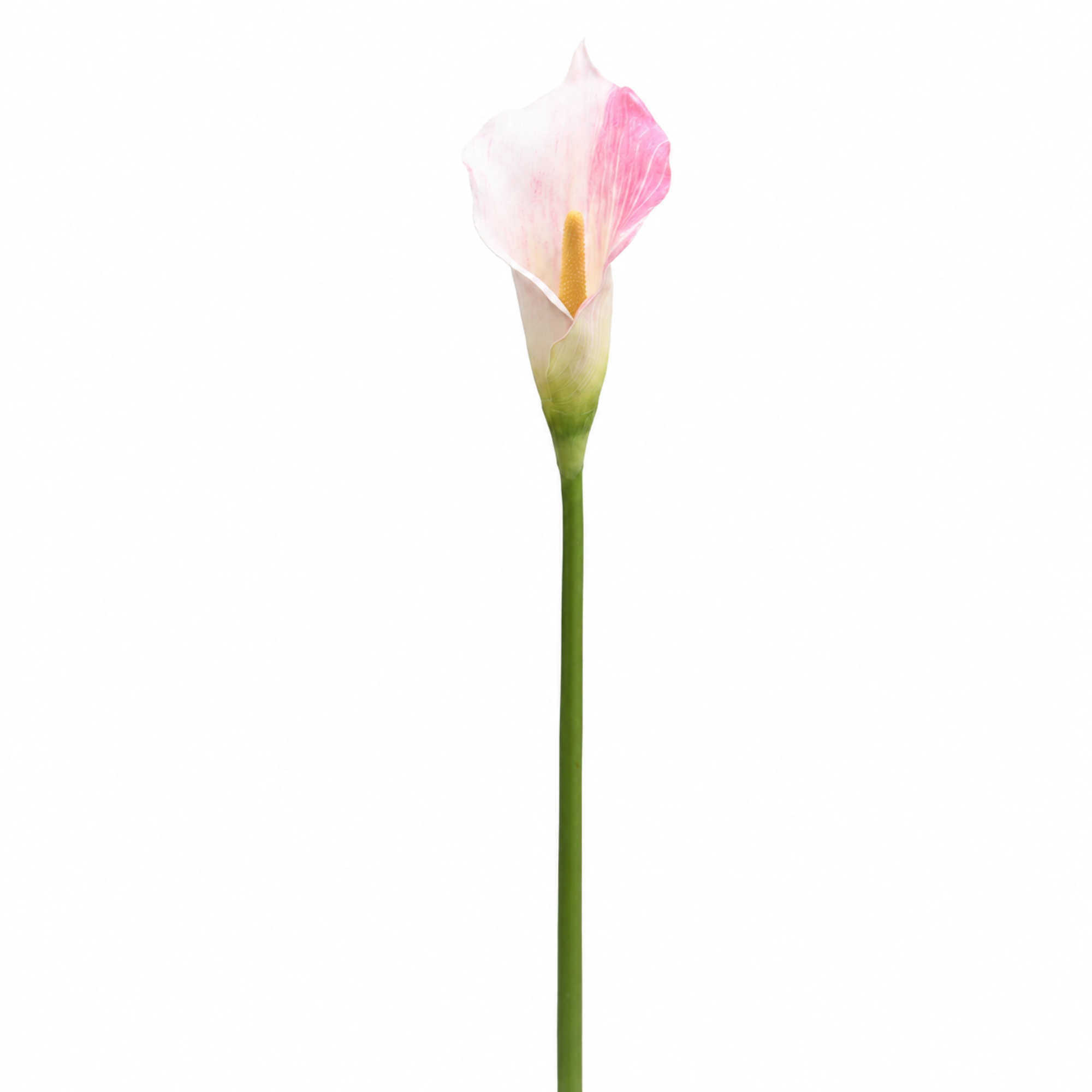 Tige d'Arum 75 cm rose, fleur artificielle, vue complémentaire, Sia Deco