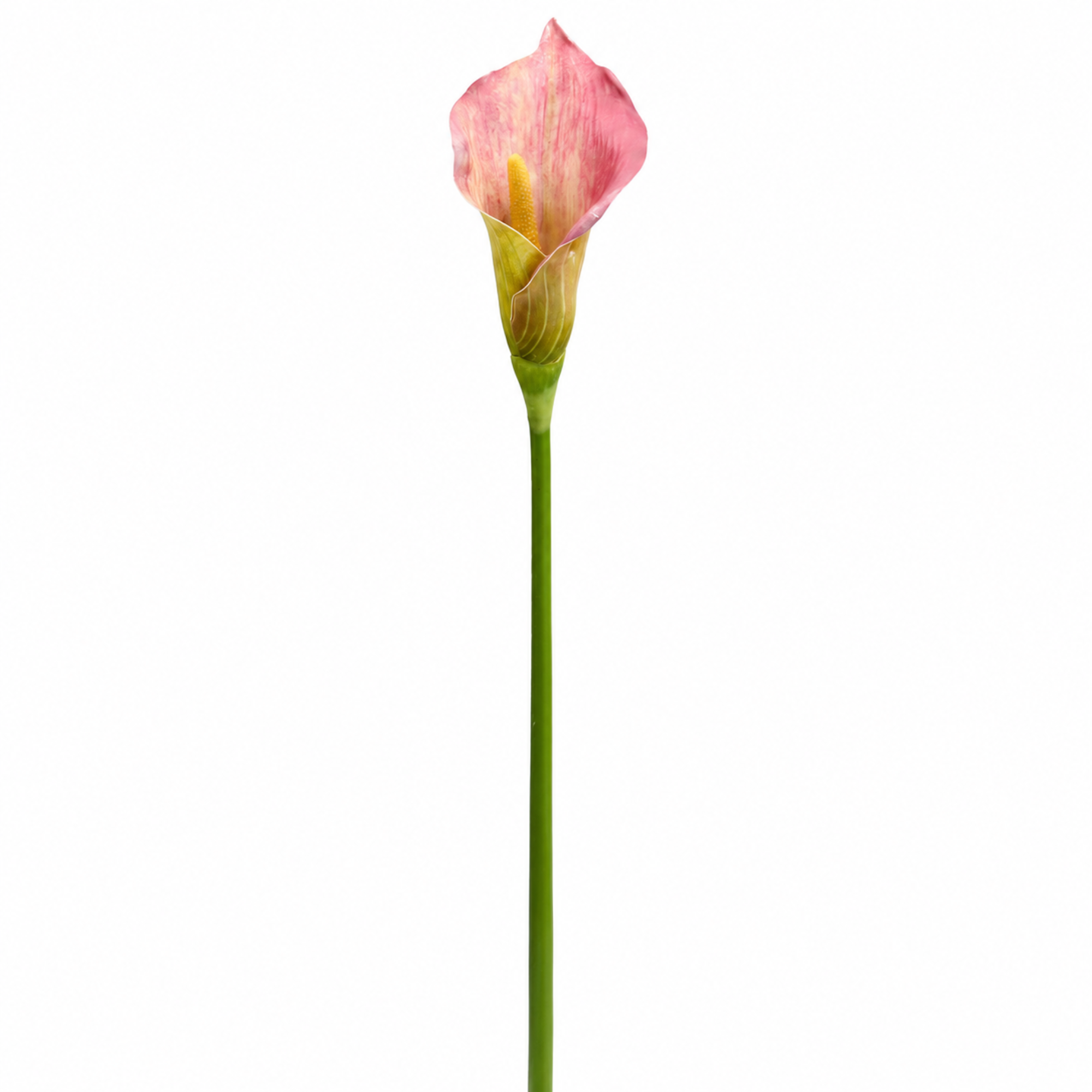 Tige d'Arum 75 cm bordeaux, fleur artificielle, vue complémentaire, Sia Deco