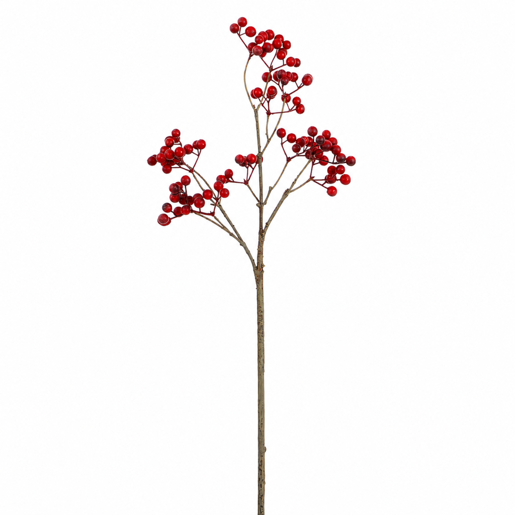 Tige de Baies 50 cm rouge, baies artificielles, packshot fond blanc, Sia Deco