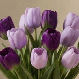 Bouquet de Tulipes Katia