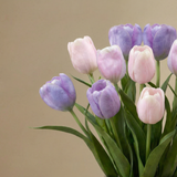 Bouquet de Tulipes Priscilla