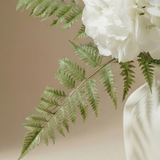 Bouquet d'Hortensias Vireya