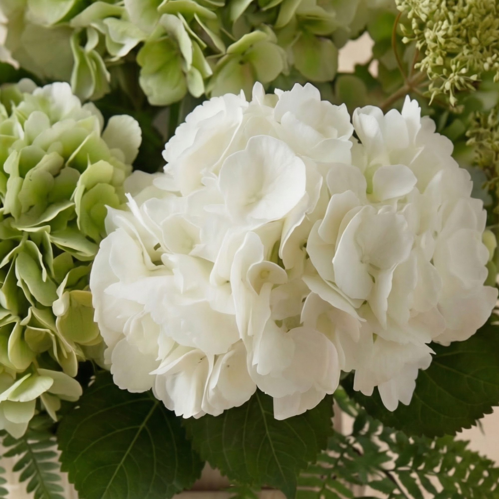 Bouquet d'Hortensias Élora