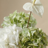 Bouquet d'Hortensias Floréa