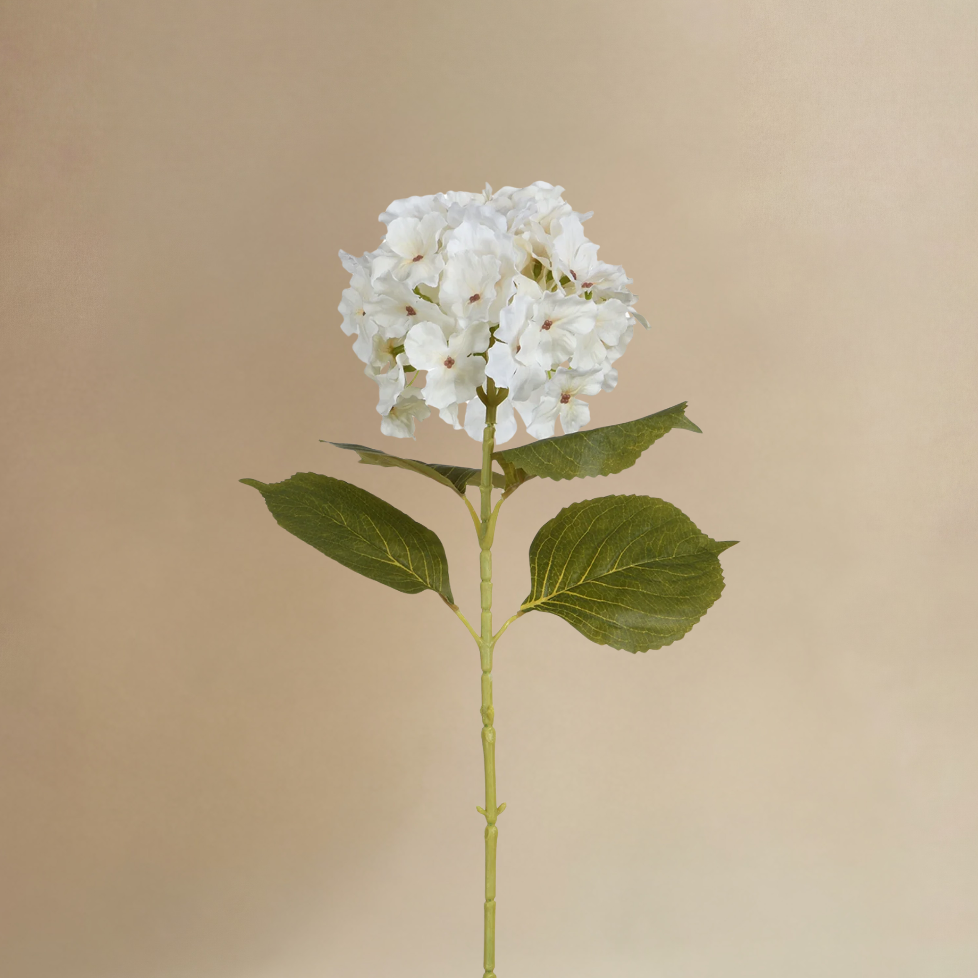 Bouquet d'Hortensias Rosalia