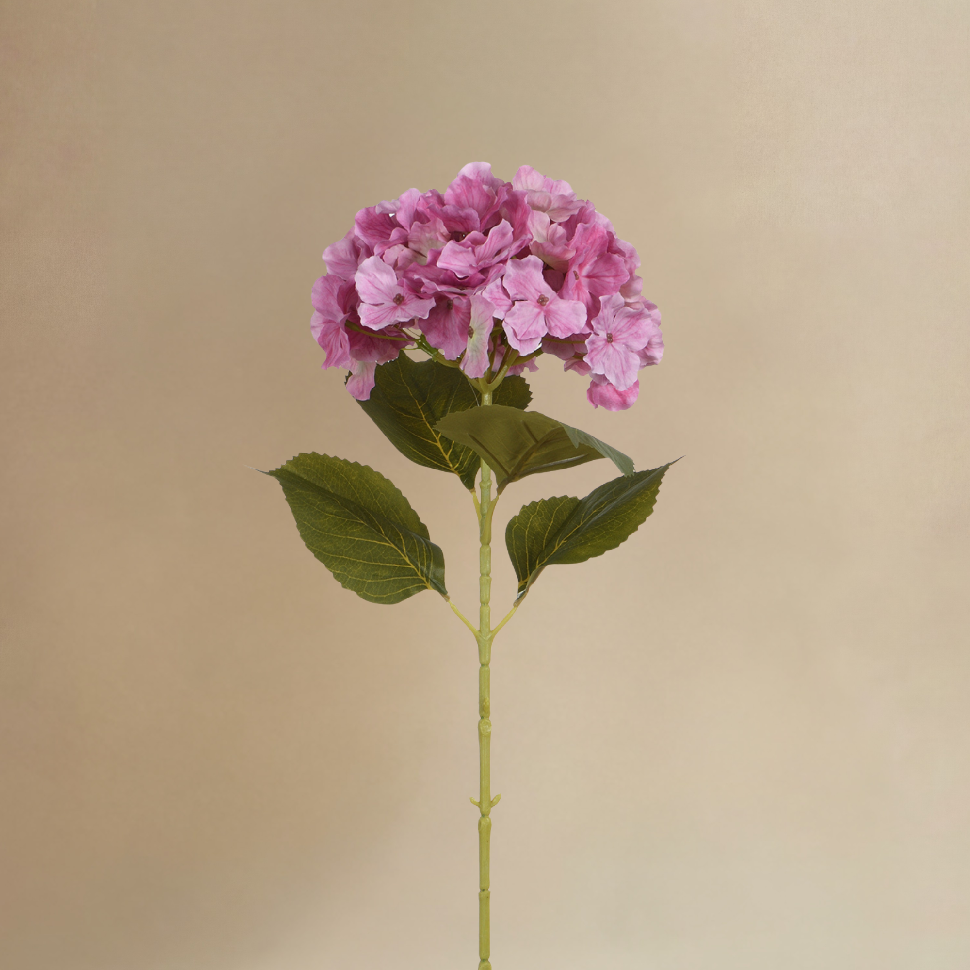 Bouquet d'Hortensias Rosalia