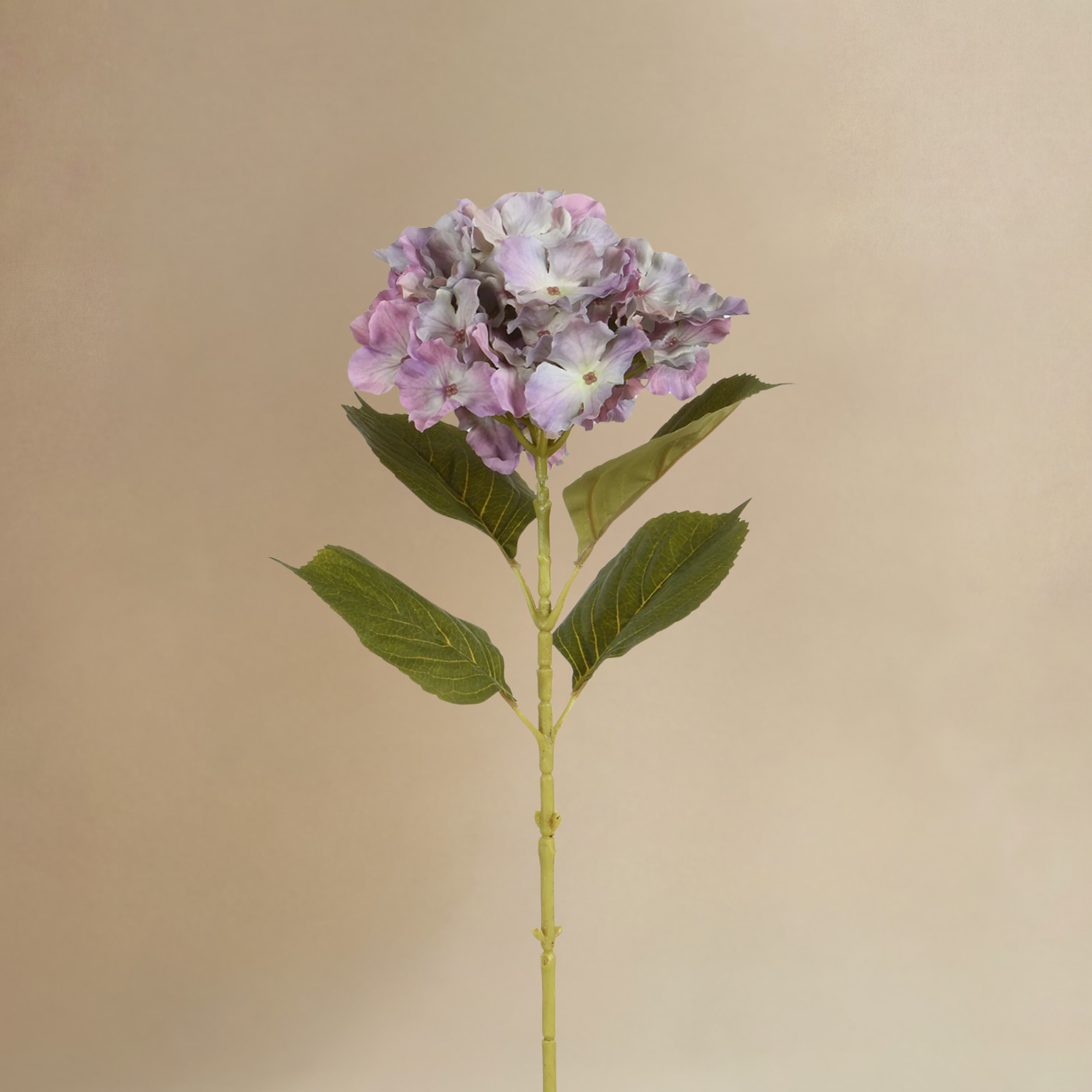 Bouquet d'Hortensias Rosalia
