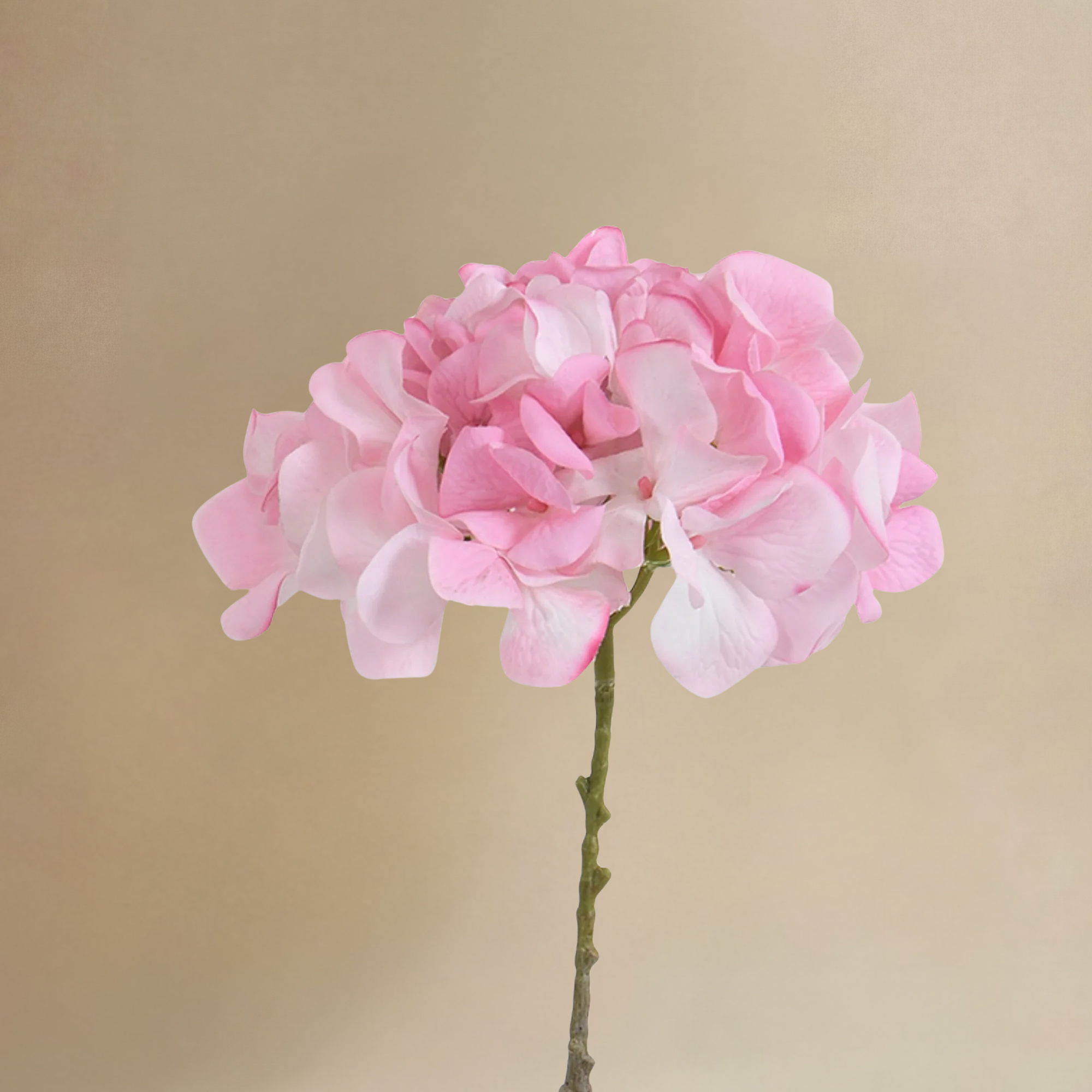 Bouquet d’Hortensia rose 9 tiges
