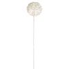 Allium IZIA NOEL